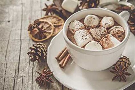 La Recette De Chocolat Chaud La Cannelle Et Aux Chamallows Le