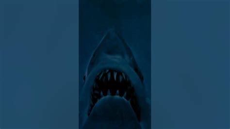 Jaws 1975 Trailer Jaws Bruce Killershark Youtube