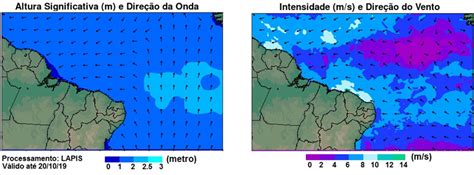 Fatos Que N O Te Contaram Sobre A Polui O Por Leo No Litoral Do