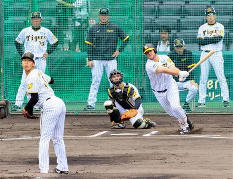 阪神 新外国人ノイジー 日本で初めて迎えるポストシーズンについて 阪神タイガース スポーツニュースまとめブログ