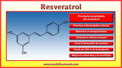 Amino Cidos Resveratrol