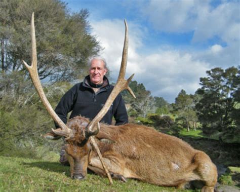 Rusa-Deer-NZ-Hunt-06 : Four Seasons Safaris New Zealand