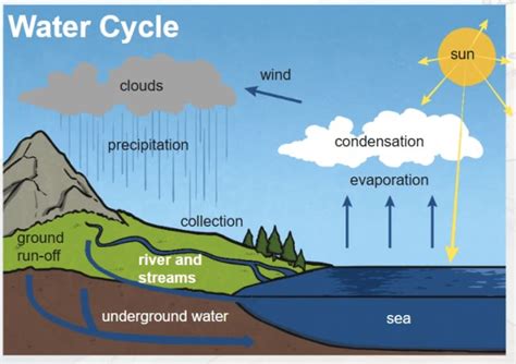 condensation process  kids