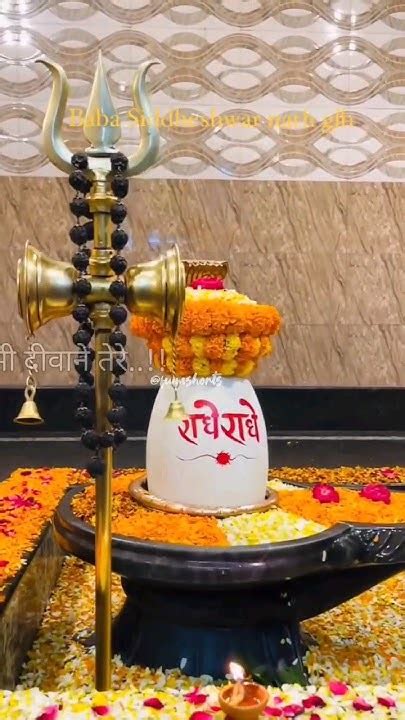 हम भी दीवाने तेरे🔱🕉🌎mahadev🙇‍♀️ ️🌼shorts Mahadevbhakt Mahadev