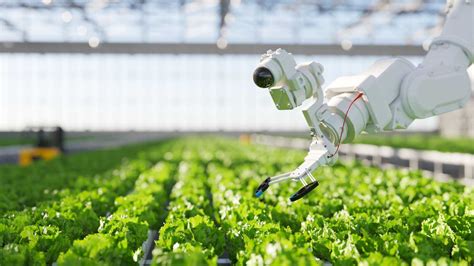 El Uso De La Inteligencia Artificial En La Agricultura De Precisi N