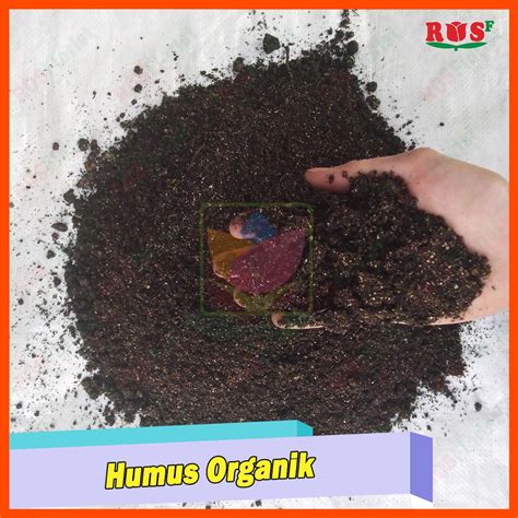 Jual Kg Humus Organik Media Tanam Semai Benih Tanaman Bunga Daun Hias