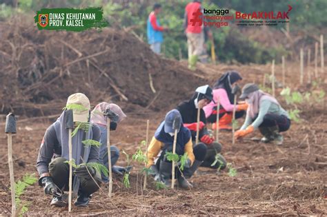 Menanam Pohon Artinya Menanam Kebaikan Dishut Kalsel Tanam