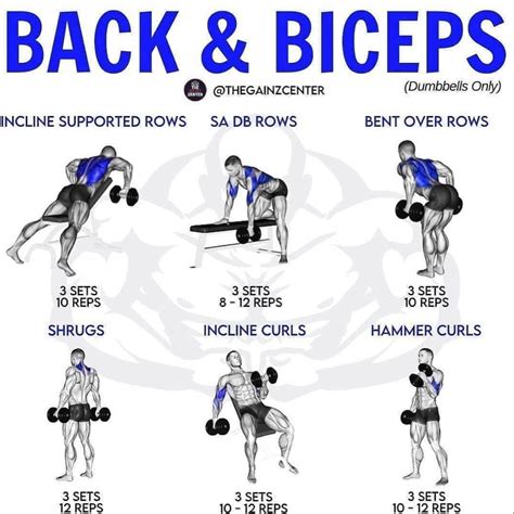 Pin By Pinner On Workouts Back And Bicep Workout Biceps Workout