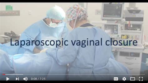 Vaginal Vault Suturing Video Surgicalperformance