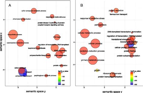 Go Enrichment Analysis Comparing Baseline In Active Sites To