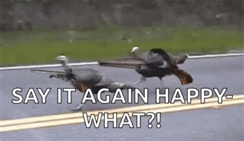 Thanksgiving Meme GIFs | GIFDB.com