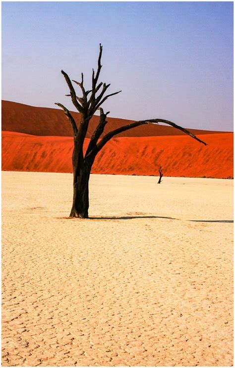 The World S Oldest Desert Visiting Namibia And Climbing Dune In