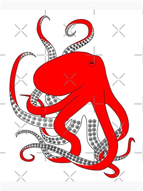 Red Octopus Hand Drawn Illustration Poster For Sale By Welshdesigns