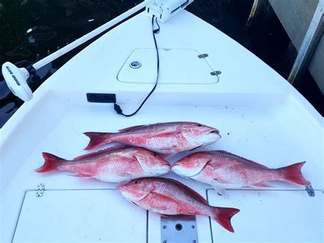 Photo Gallery Upper Hand Pensacola Fishing Charters