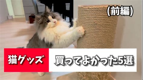 Pets Wacoca Japan People Life Style