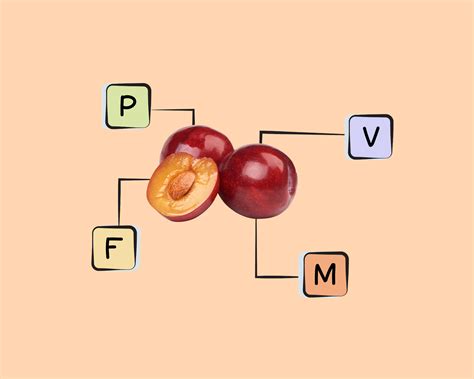 Plum Nutrients