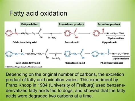 Lipid biosynthesis | PPT