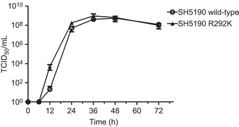 Replication Kinetics Of The Wild Type Virus And The R K Variant In