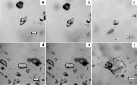 Photomicrographs Of Fluid Inclusions Trapped In Quartz Of The Svetlinsk