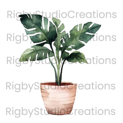 Watercolor House Plants Clip Art Digital Download High Quality Images 300dpi Etsy