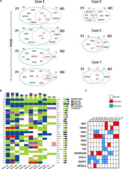 Frontiers | Heterogenous profiles between primary lung cancers and