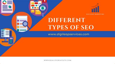 search engine optimisation types  seo digileap