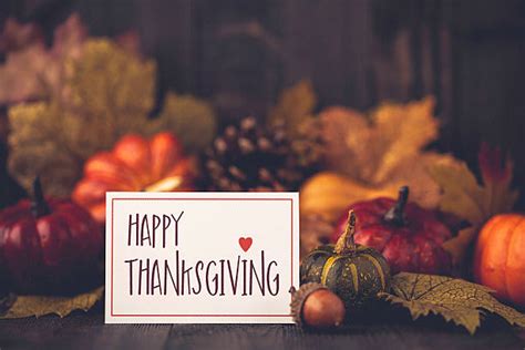 Best Thanksgiving Stock Photos Pictures And Royalty Free Images Istock