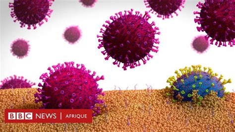 Évolution Du Coronavirus Quest Ce Que La Mutagenèse Létale Et Dans