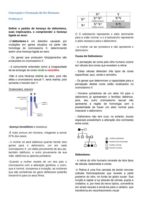 Concepção e Formação do Ser Humano 4 Concepção e Formação do Ser