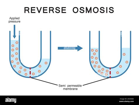 Scientific Designing Of Reverse Osmosis Colorful Symbols Vector