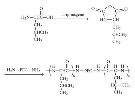 Schematic Diagram Of Monomer Synthesis And Ring Opening Polymerization