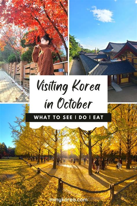 South Korea Travel Asia Travel Best Places To Travel Cool Places To