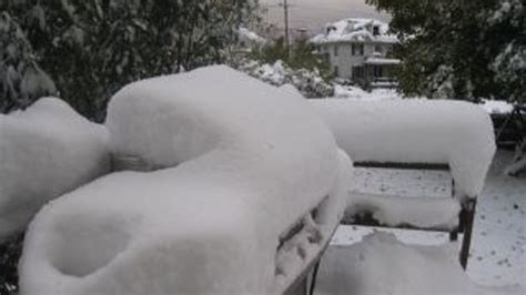 Today in Weather History - The October 29, 2011 Destructive Snow Storm