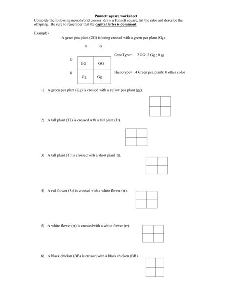 Punnett square worksheet