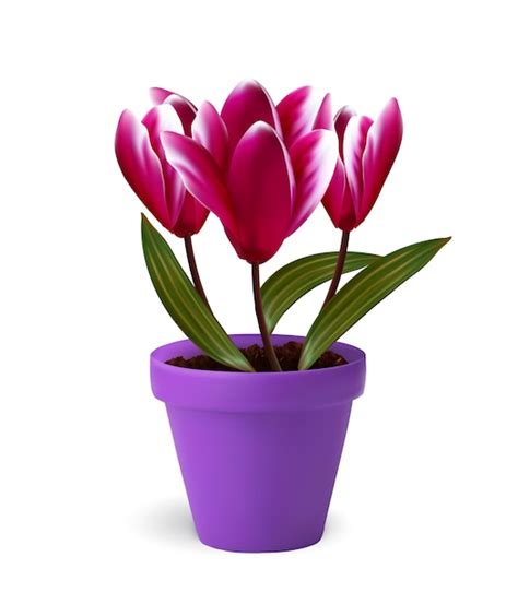 Premium Vector Sspring Flowers In Pot Vector