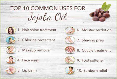 Jojoba Oil Uses Top 10 Uses 3 Diy Recipes