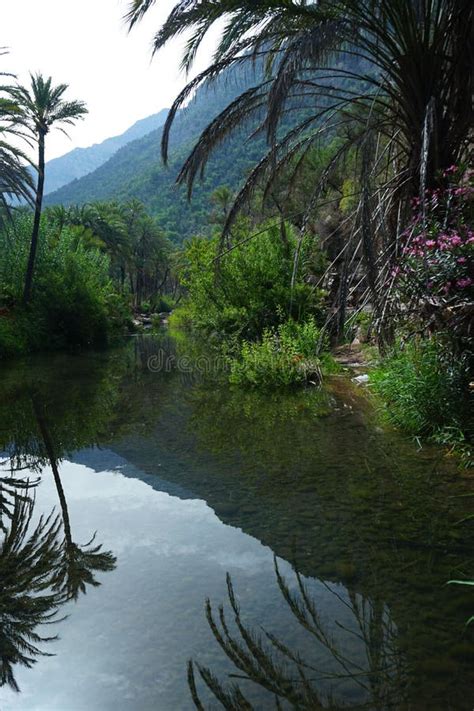 Disparo Vertical De Un Lago Con El Reflejo De Las Junglas Foto De