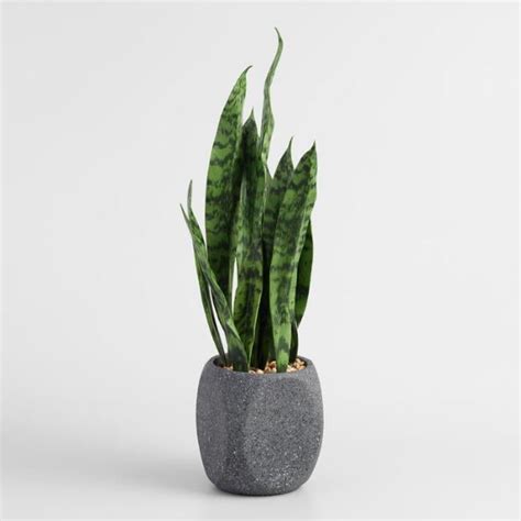 Faux Snake Plant Best Fake Plants That Look Real Popsugar Home Uk