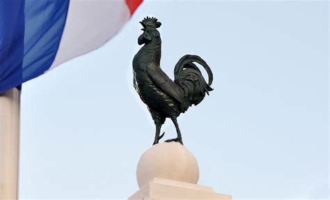 Coq l emblème de la France est il macho Causeur