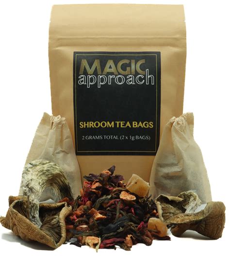 Blueberry Psilocybin Shroom Tea Buy High Quality Mushroom Tea