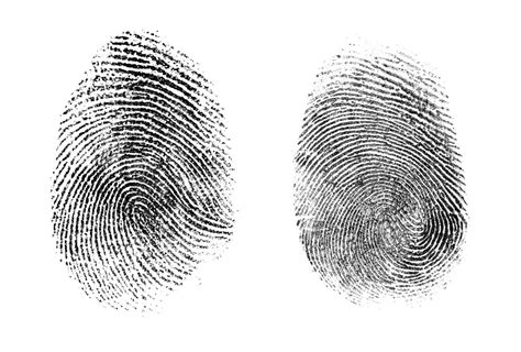 Fingerprinting Forensic Science Diagram Quizlet