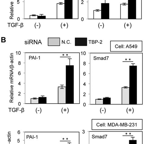 A Cells Transfected With Tbp Targeting Sirna Tbp Or Negative