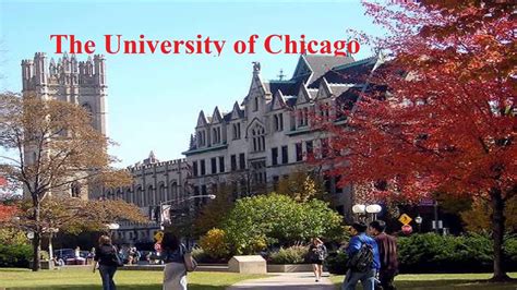 University Of Chicago Wallpapers Top Free University Of Chicago Backgrounds Wallpaperaccess