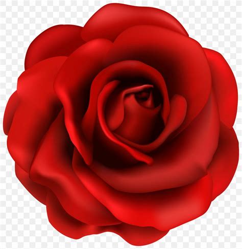 Rose Flower Clip Art, PNG, 5898x6068px, Red, Blog, Close Up, Floribunda ...