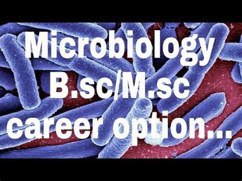 B Sc M Sc MICROBIOLOGY Course Career Options Scopes And Other Detailed