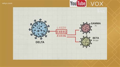 Delta COVID variant: Everything you need to know | khou.com