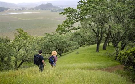 Outdoor Adventures: The Best Hiking in the Napa Valley! - Paloma Vineyard