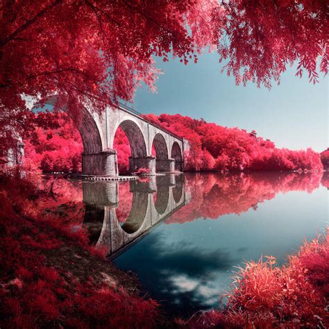 Infrared Lens Filter That Mimics the Look of Kodak Aerochrome Film