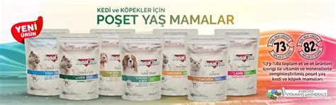 En İyi Kedi Ve Köpek Mamaları Taze Üretim Temizmama