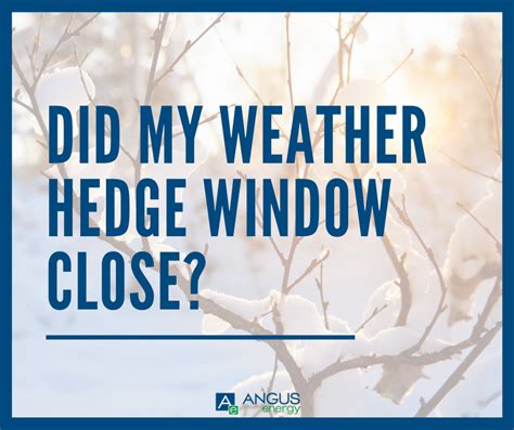 Did My Weather Hedge Window Close? - Angus Energy